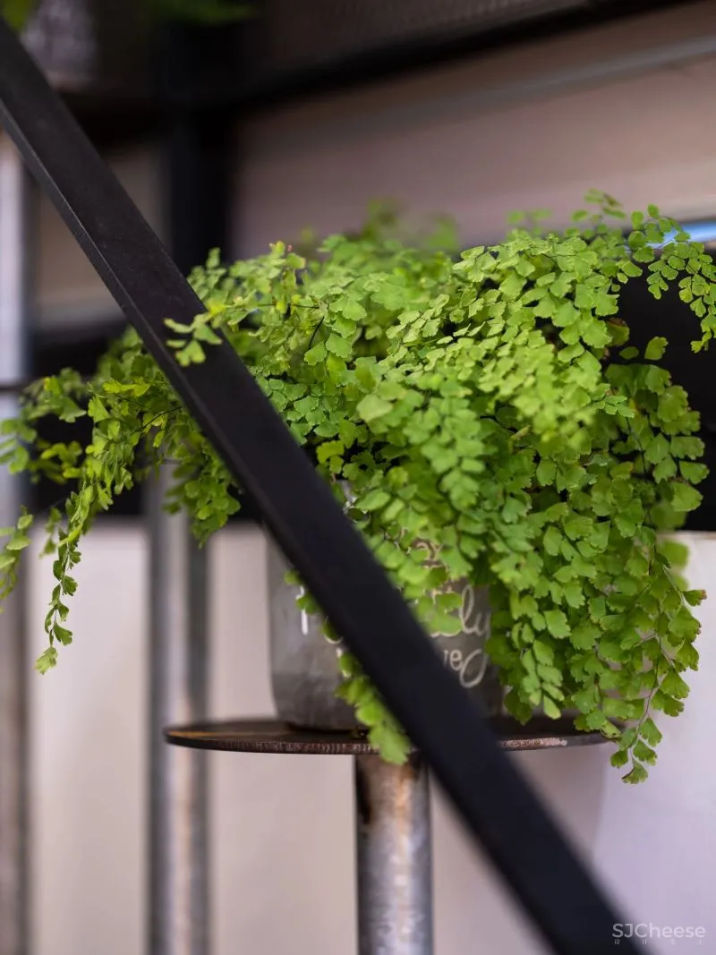 设计公司自己的办公室——为舒适办公而升级