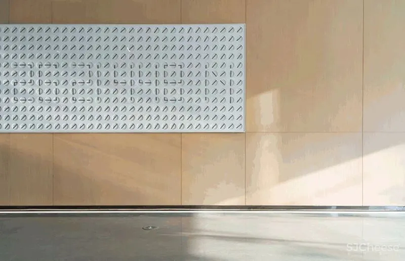 柏拉图宇宙 研质建构