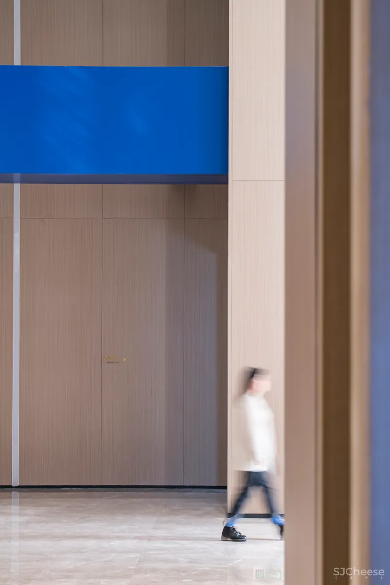 谢天 • 天梯景观|出繁入简,化情与理