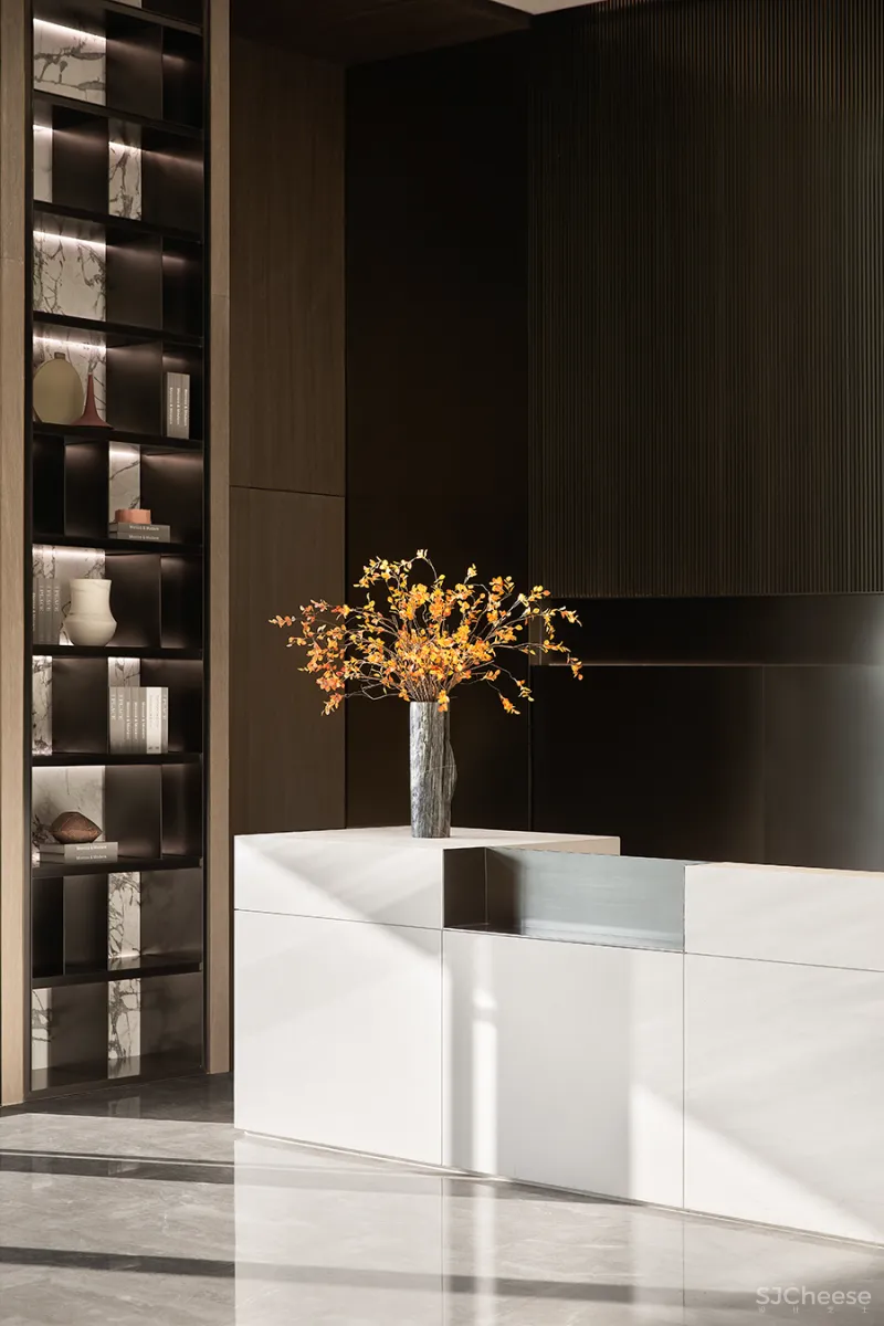 纯白主义的极简演绎 DIA • 丹健新作