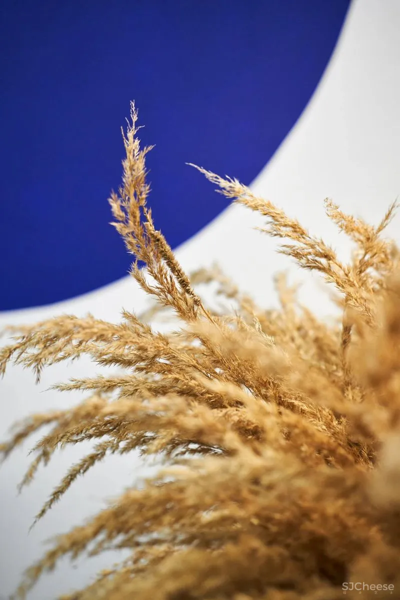 Barbershop OWN不同的视角现代理发店