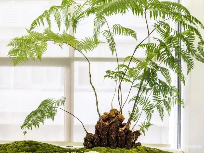 设计公司自己的办公室——为舒适办公而升级