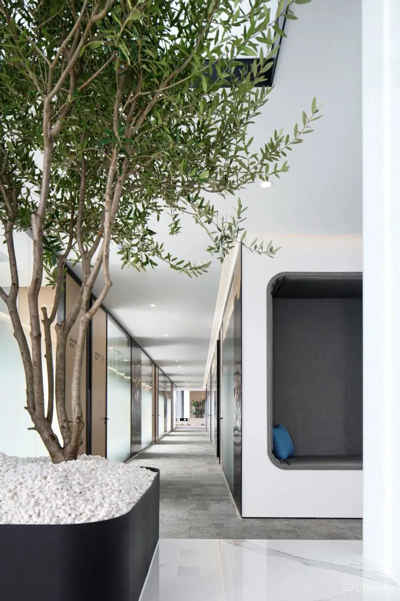 知白设计 × 餐盟严选:盒中绿意,21棵树的办公空间
