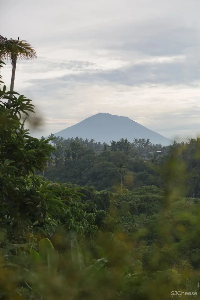 我向往的生活 简朴 平凡 安静