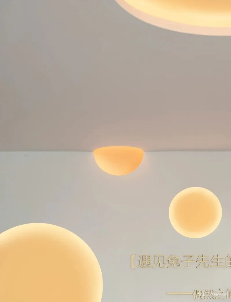 Fly to the moon丨SNP 尚诺柏纳