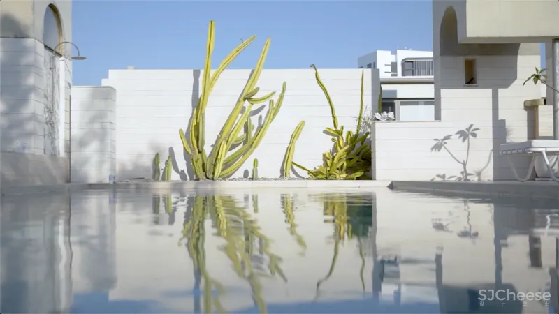 这栋房子的屋顶花园,设计得太美了