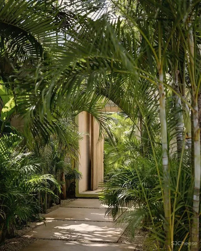 CO LAB 自然系住宅