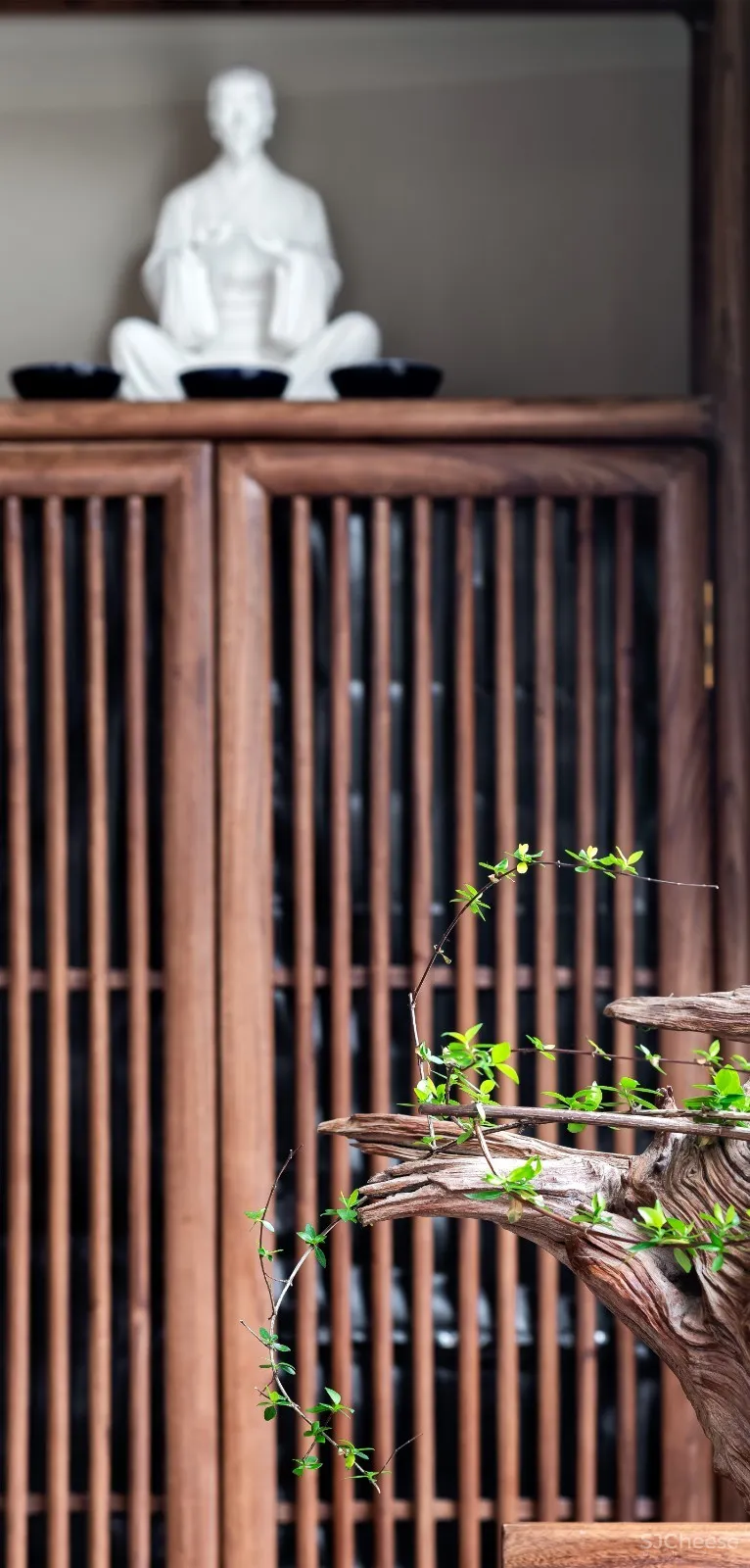 朗众设计|大益茶