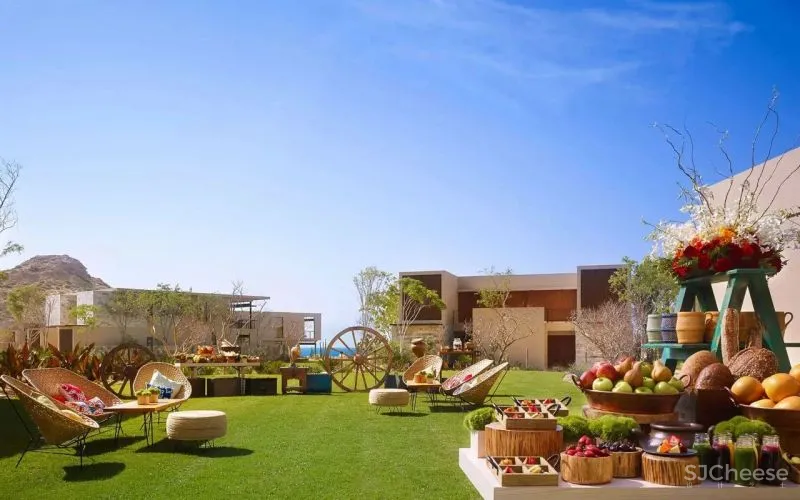 蒙太奇洛斯卡沃斯酒店