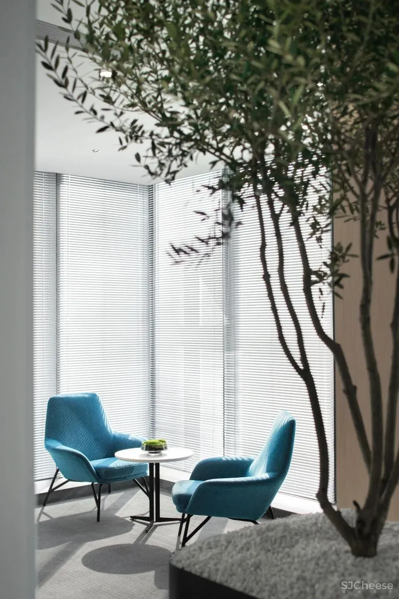 知白设计 × 餐盟严选:盒中绿意,21棵树的办公空间