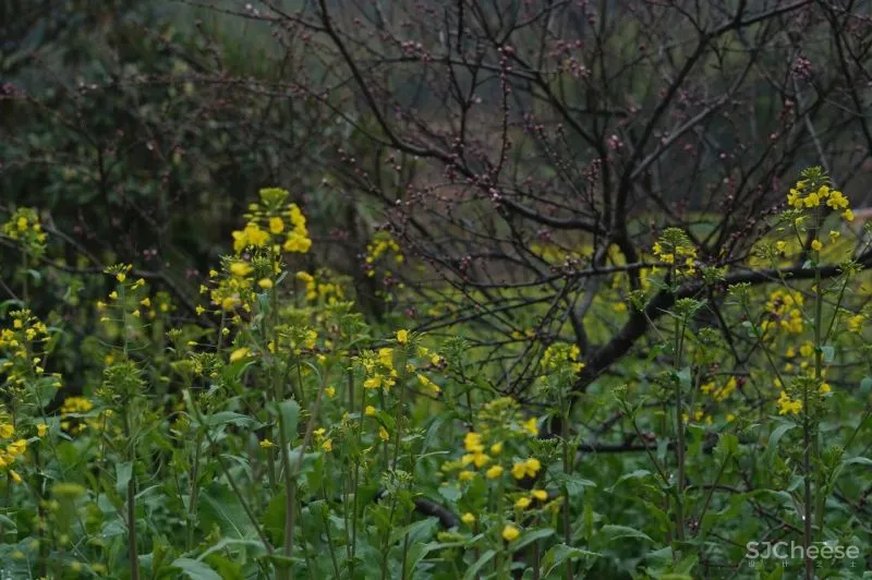 独家首发!江浙沪超野奢摩洛哥风情民宿,面朝湖泊坐拥田园,开业就吸引爆火综艺来录制!