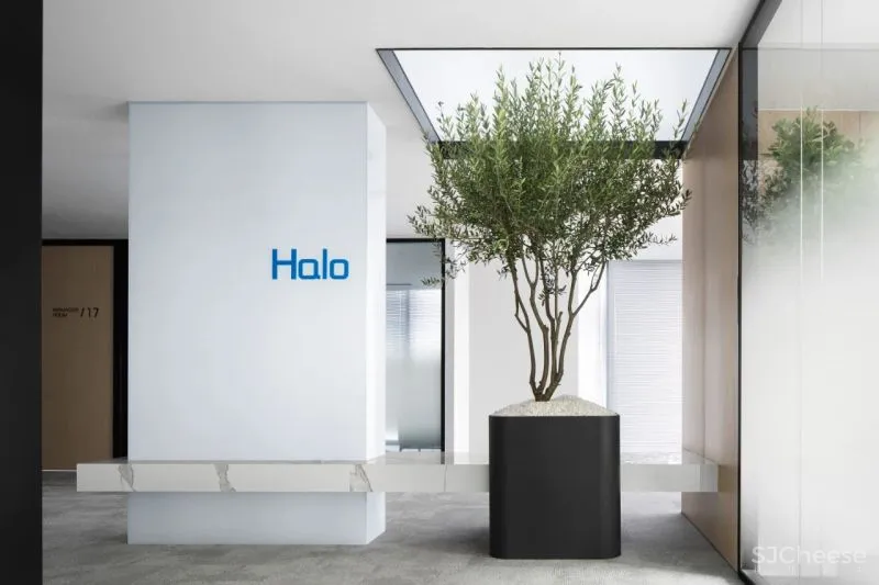 知白设计 × 餐盟严选:盒中绿意,21棵树的办公空间