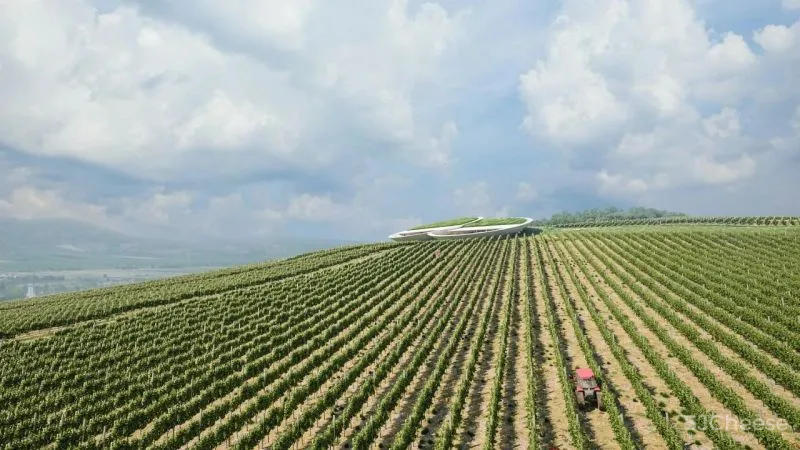 全球顶级鬼才建筑，令人拍案叫绝的世界奇迹！