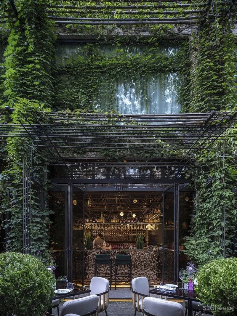 上海艾本酒店花园店—Le Coq酒吧餐厅