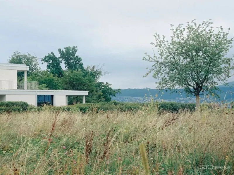 Think Architecture-极简才是最高级的生活美学!