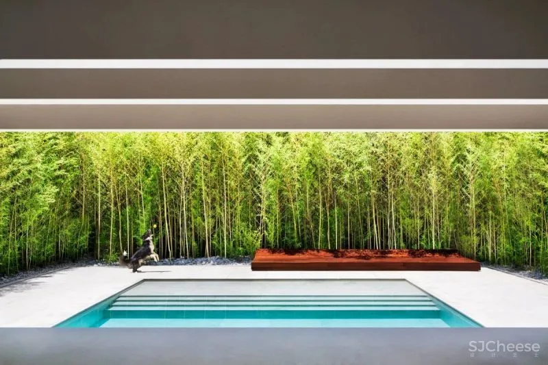 巴西极简,真高级!