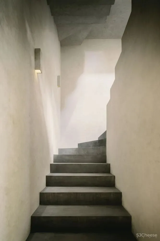 CO LAB 自然系住宅