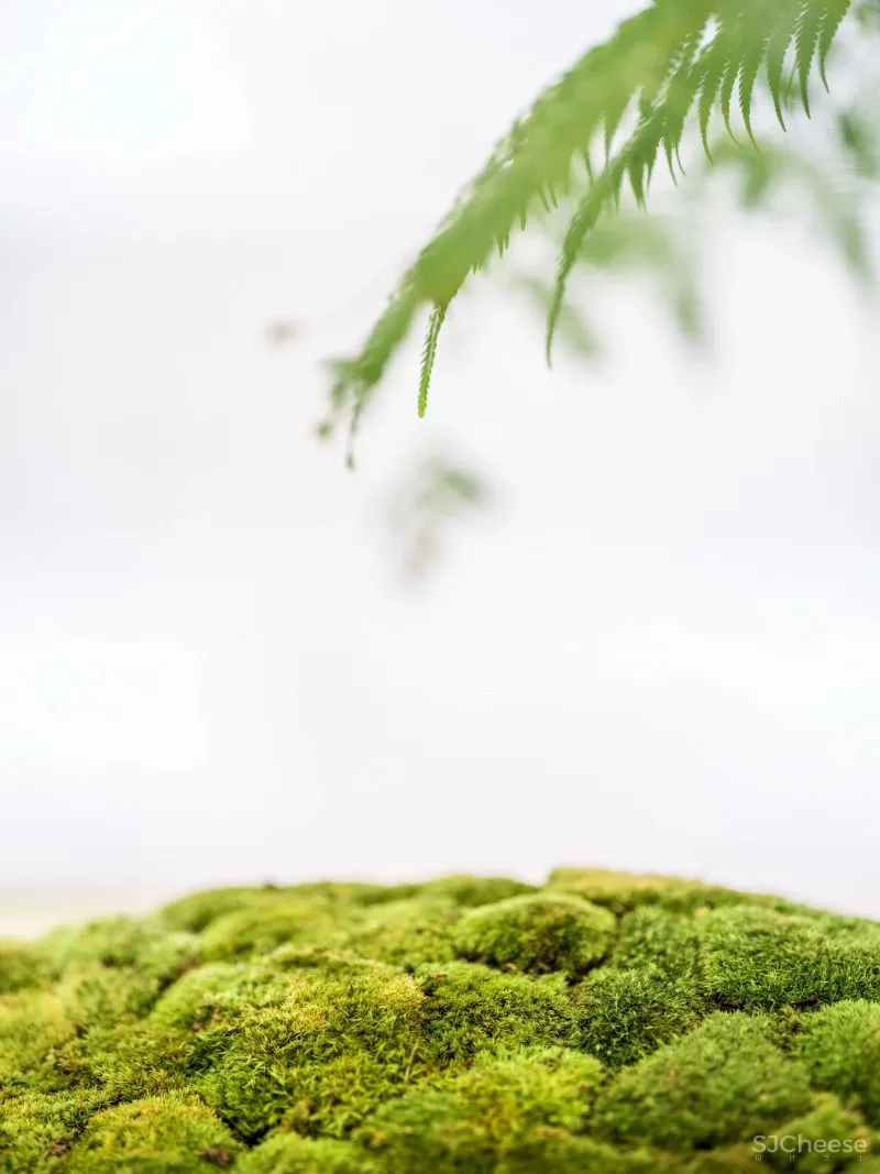 设计公司自己的办公室——为舒适办公而升级