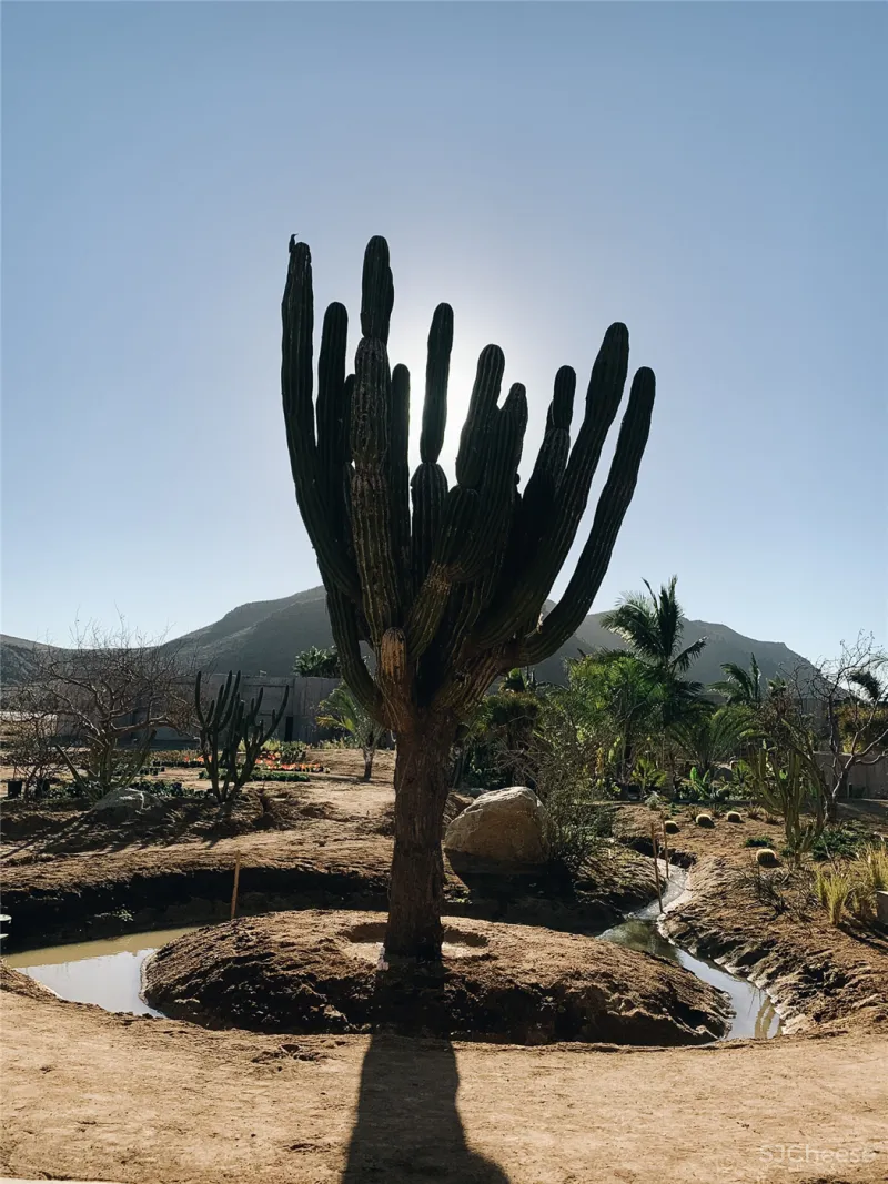 混凝土打造的侘寂野奢民宿,越「简陋」越高级