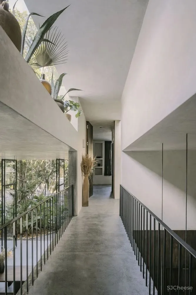 CO LAB 自然系住宅