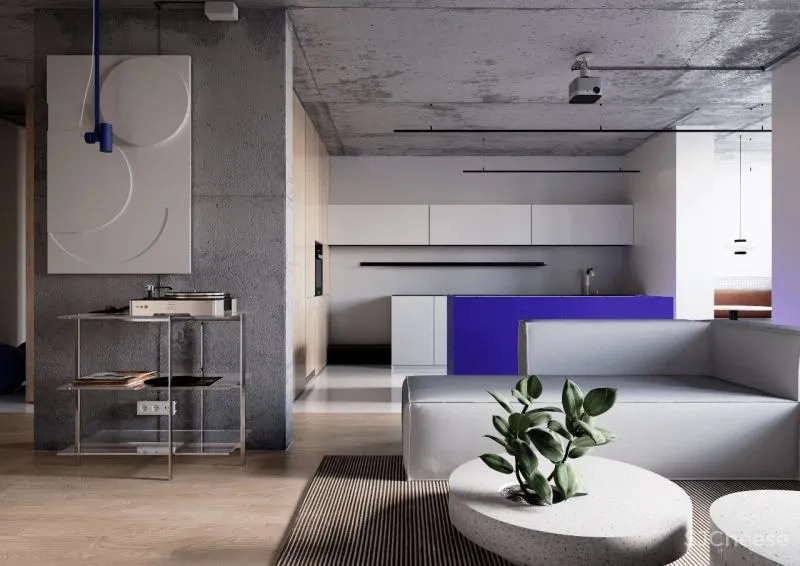 【Zemna Design】精装不如简装, 简装不如裸装