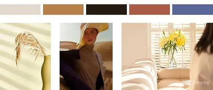 于光影之下,静享 143m² 的法式浪漫!