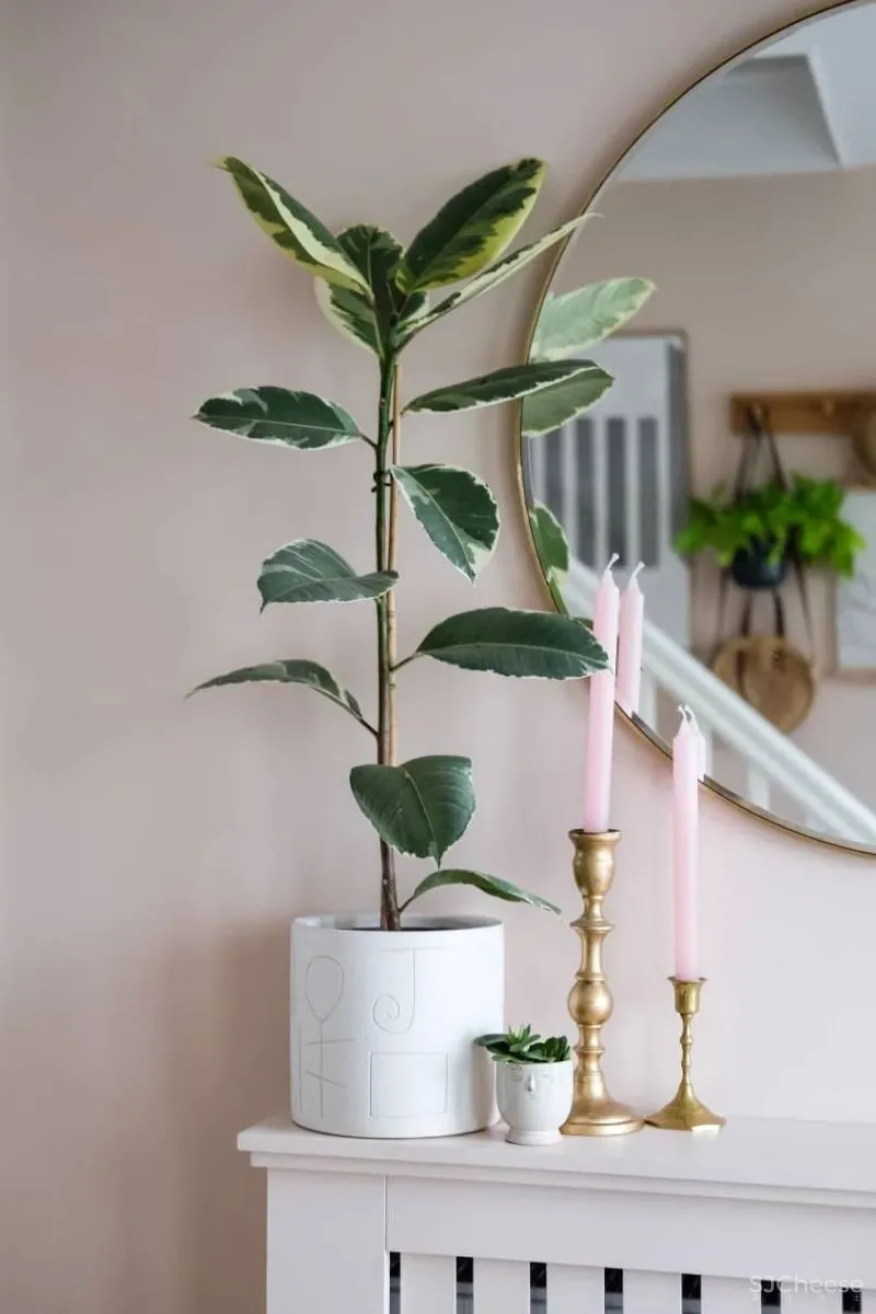 清新糖果色空间