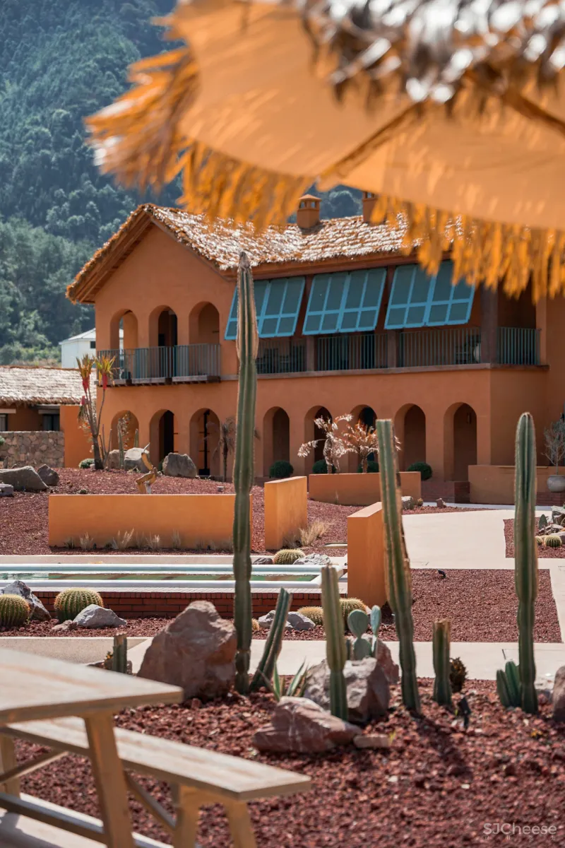 独家首发!江浙沪超野奢摩洛哥风情民宿,面朝湖泊坐拥田园,开业就吸引爆火综艺来录制!