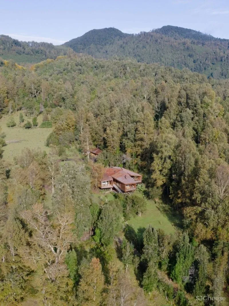 Cosmetea 新型美妆茶文化品牌店