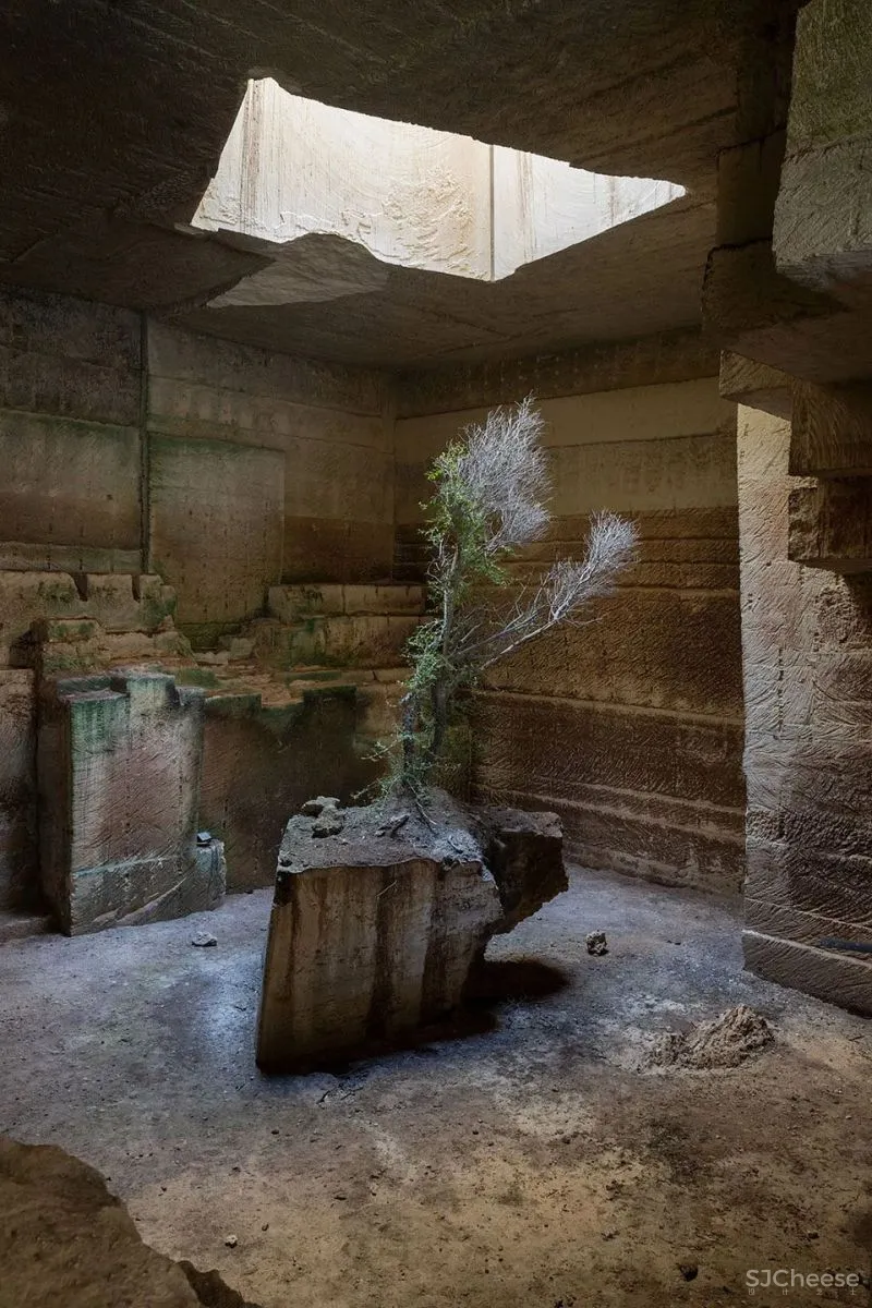 新作 属于大地的居所 Ca’n Terra度假屋 Ensamble Studio