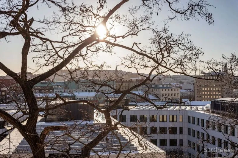 60㎡温柔知性的美,瑞典单身女子公寓