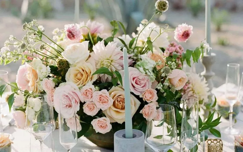 蒙太奇洛斯卡沃斯酒店