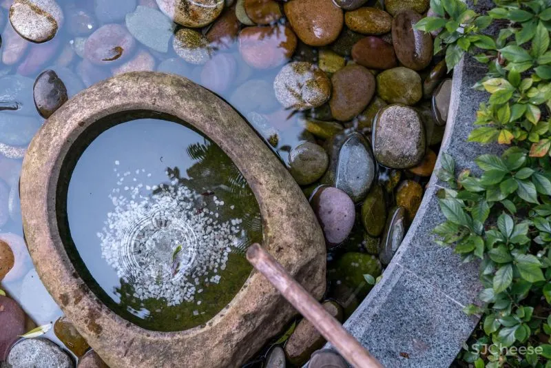 枫耘设计:心之所向,禅意动人