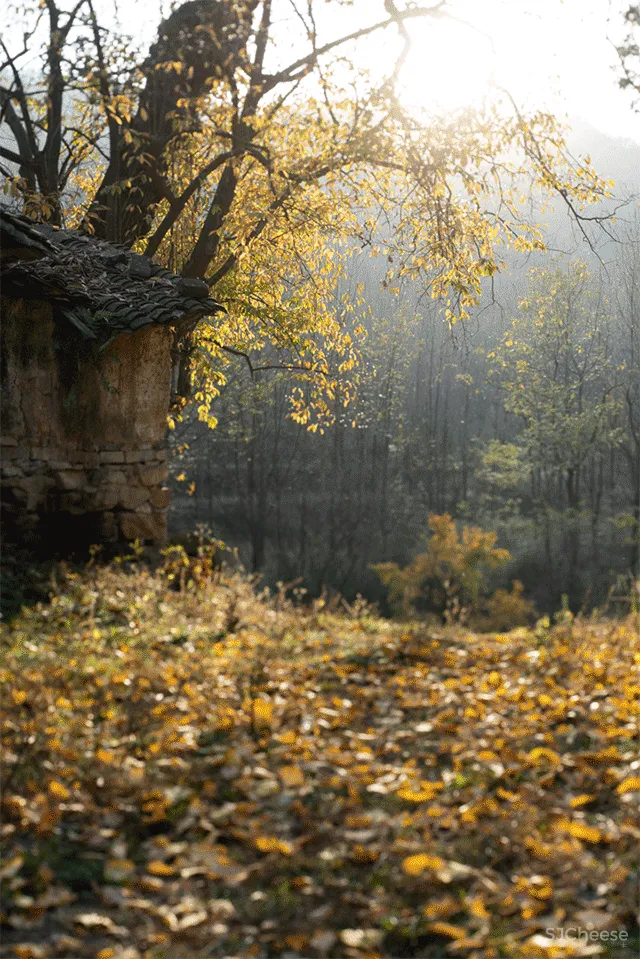 埂上设计丨信阳老宅:立足乡土,焕新一座老宅「星作」