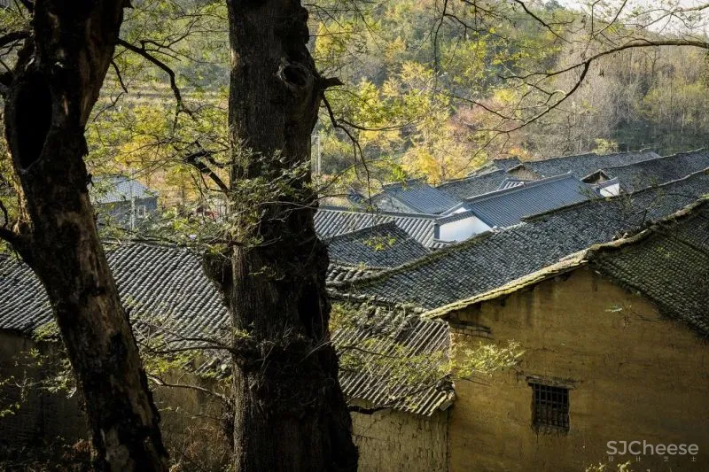 埂上设计丨信阳老宅:立足乡土,焕新一座老宅「星作」