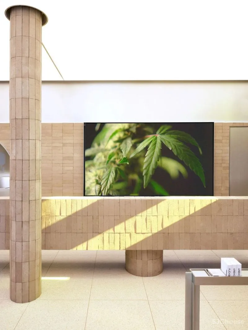 Pharmacy 一场沉浸式艺术零售之旅