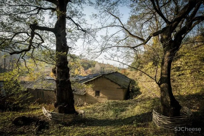 埂上设计丨信阳老宅:立足乡土,焕新一座老宅「星作」