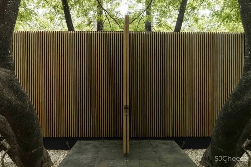 Mauricio Ceballos 墨西哥 融入大自然的林间景观别墅