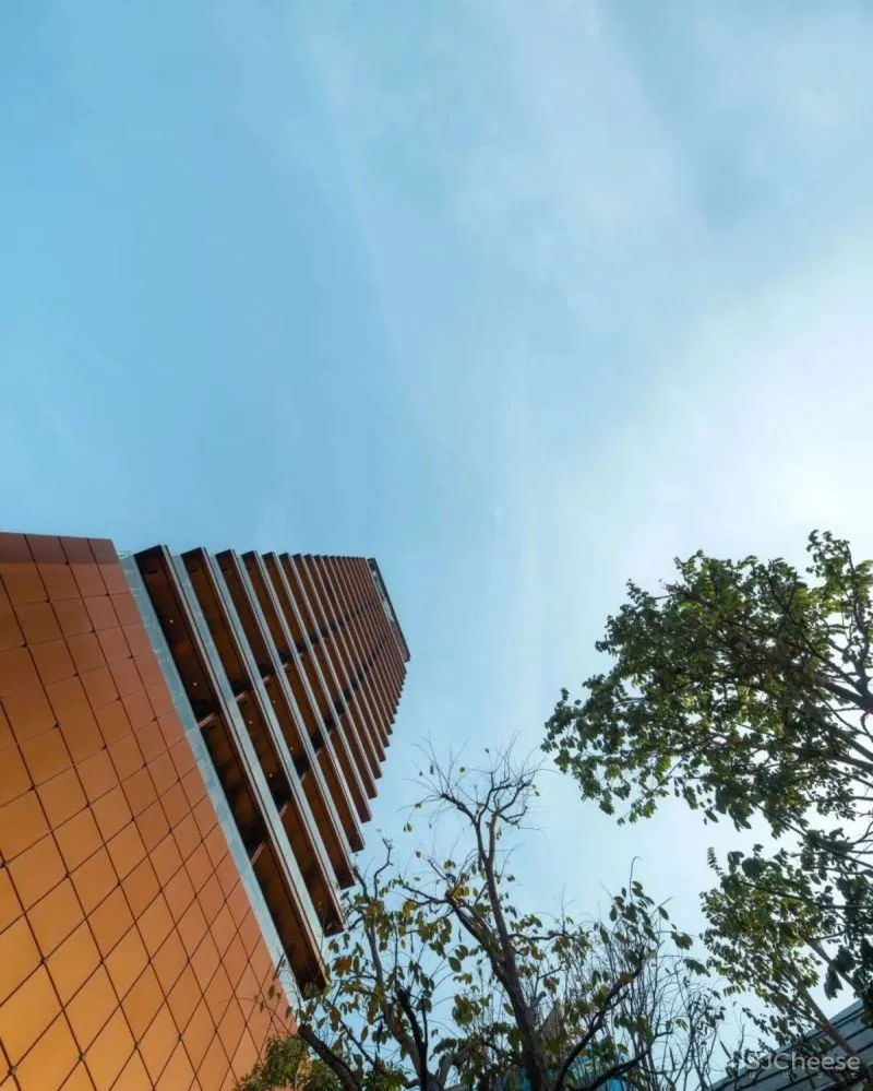 极致之墅专题-以城市极少墅,致敬极少数!