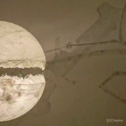 水墨韵律 素雅花艺,独有的东方气韵 观致设计