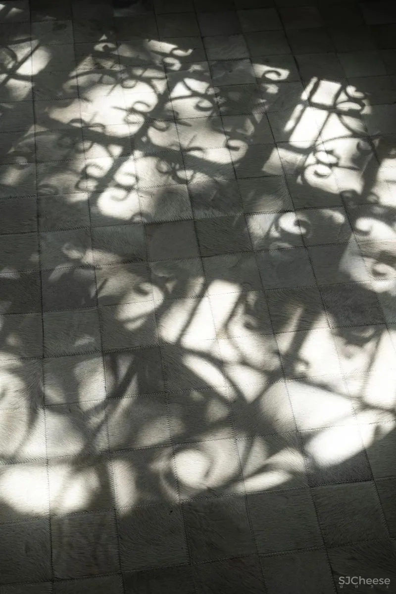 WJID 黄全 一段时间迴旋,一场老上海之旅