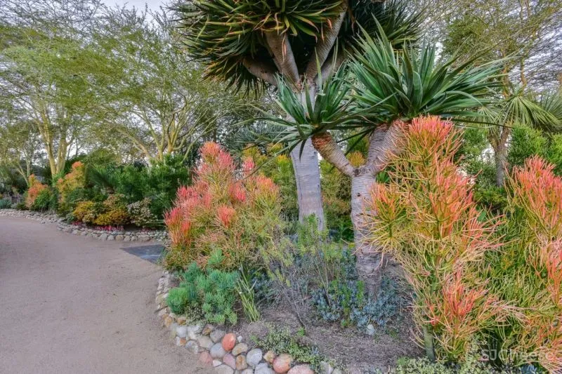 建筑即空间,空间即艺术