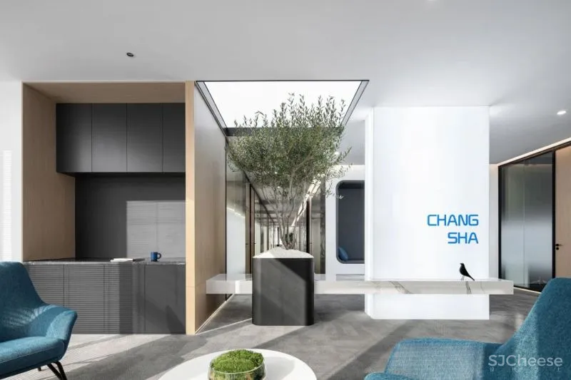 知白设计 × 餐盟严选:盒中绿意,21棵树的办公空间