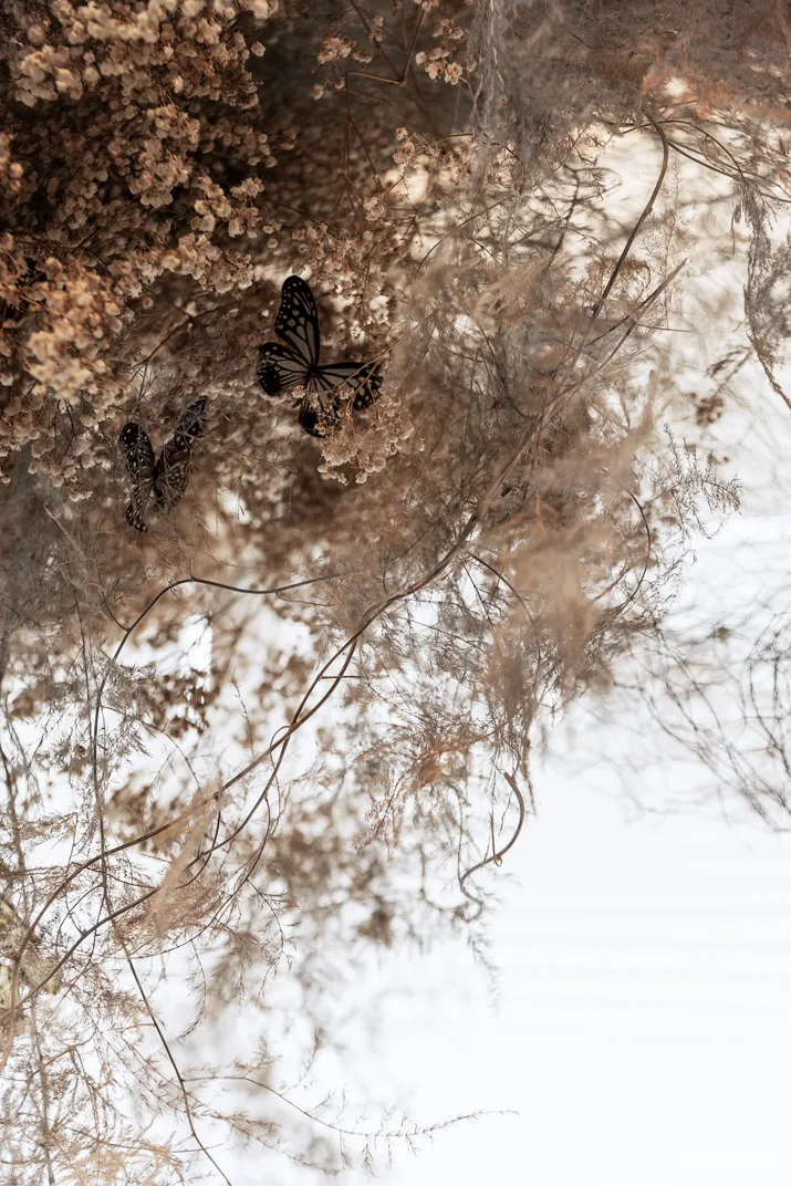 郑州正荣·御首府·天樾 自然艺境 梦幻园游