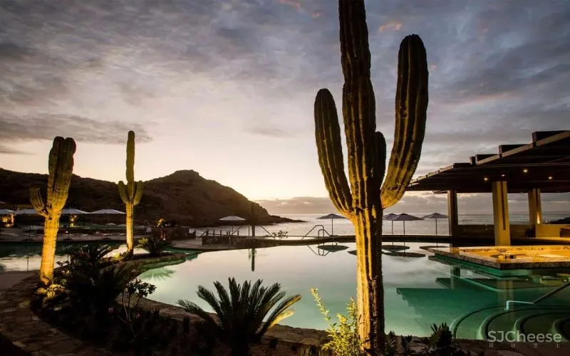 蒙太奇洛斯卡沃斯酒店