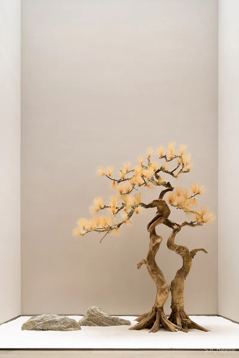 什么是合院别墅?