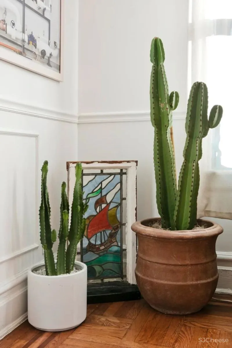 清新糖果色空间