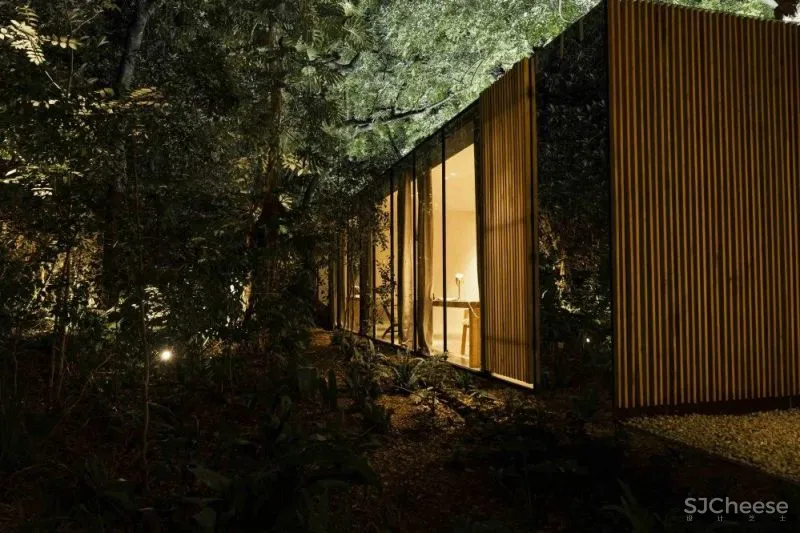 Mauricio Ceballos 墨西哥 融入大自然的林间景观别墅