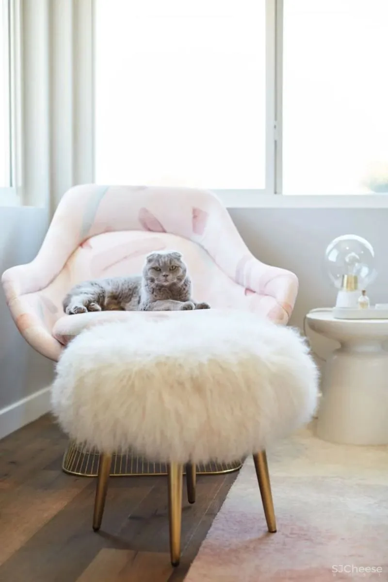 清新糖果色空间