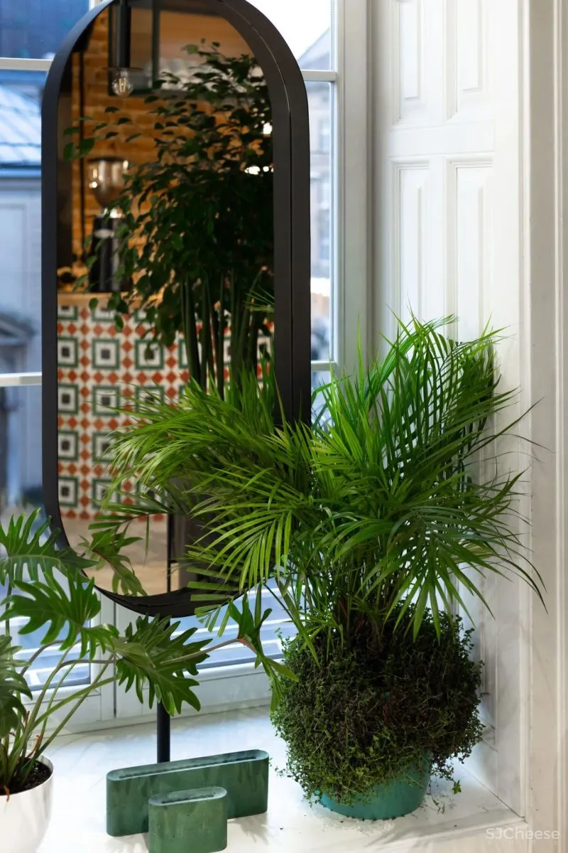 IRA LYSIUK 90㎡咖啡厅设计,现代与历史的交织